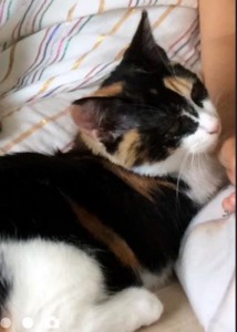 Disparue à Montceau