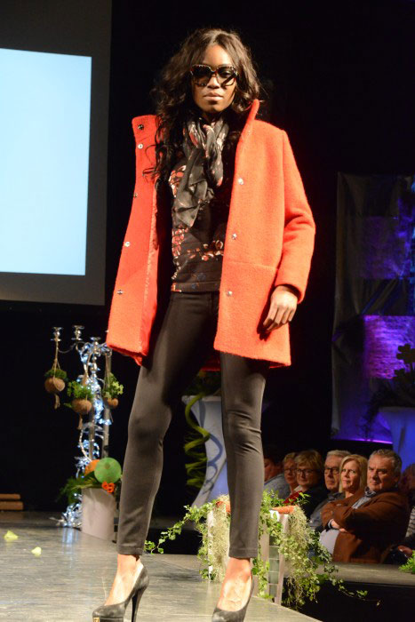 defile 29101743