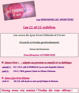 Hirondelles Sportives Montceau