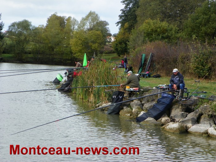 peche 23101721