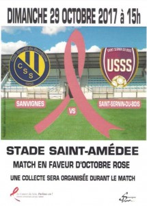 C.S.Sanvignes (Foot)