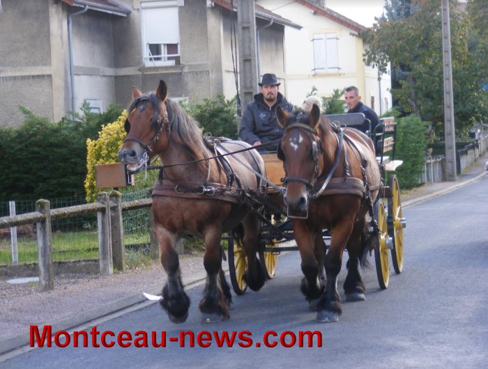 st val 1010174