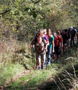 « Vouivre en chemins » (Randonnée)