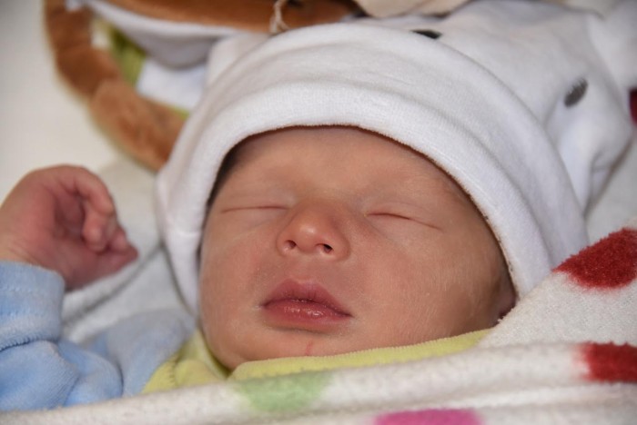 bebe orlando 1011172