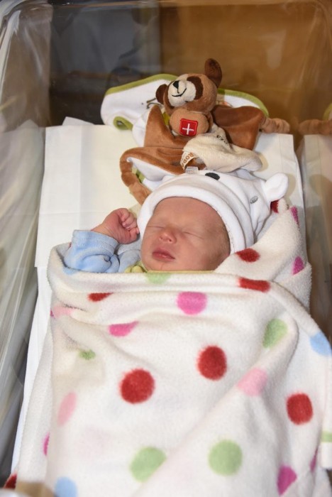 bebe orlando 1011173