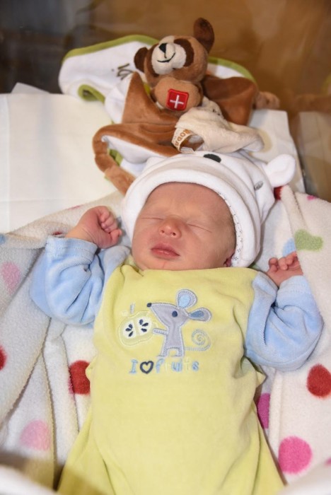 bebe orlando 1011174