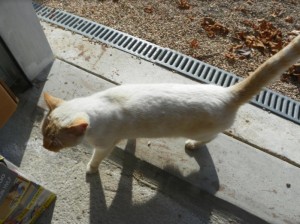 Trouvée à Blanzy