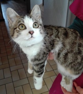 Trouvé à Montceau