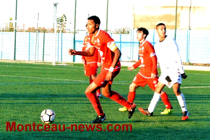 fc 19111721