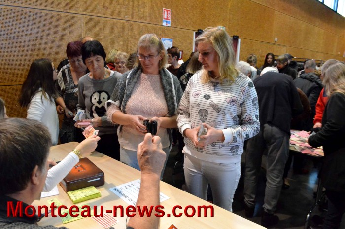 loto 1311172