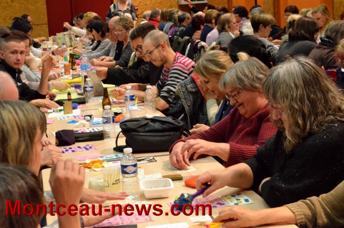 loto 1311176
