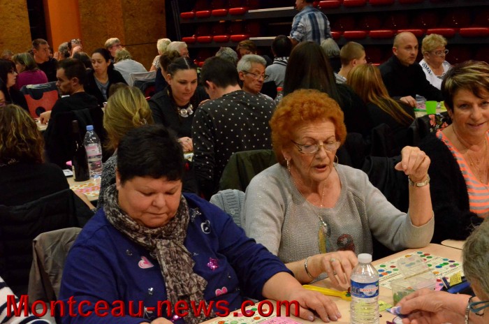 loto 1311177