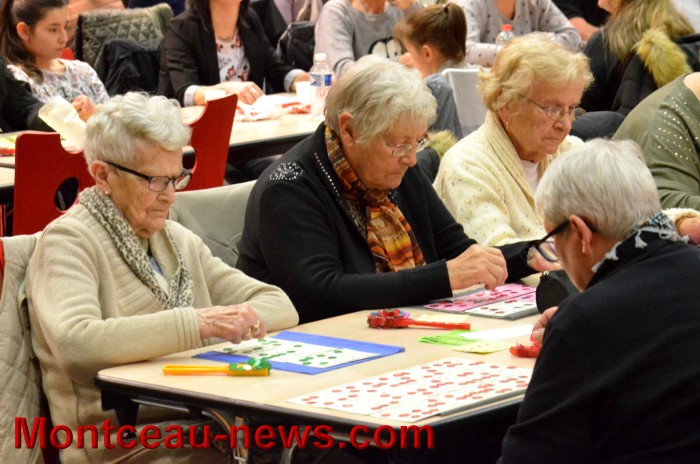 loto 1311178