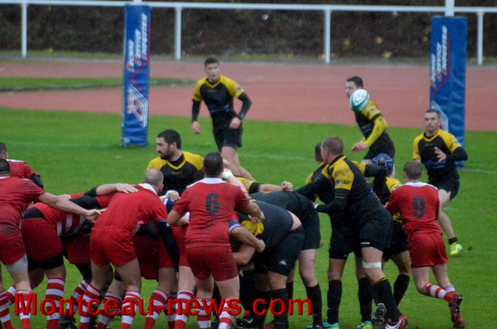 rugby 13111711