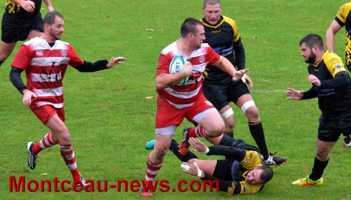 rugby 13111713