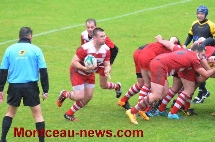 rugby 13111714