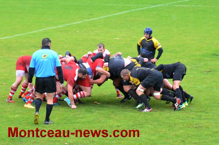 rugby 13111715