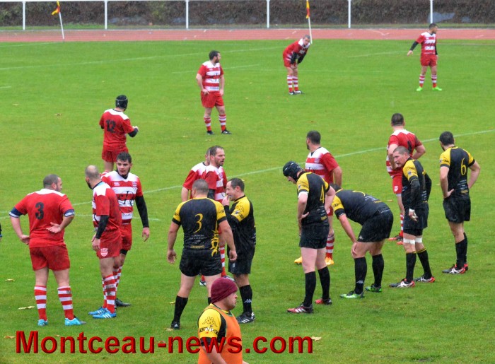 rugby 13111716