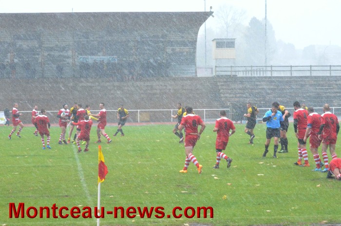 rugby 13111718