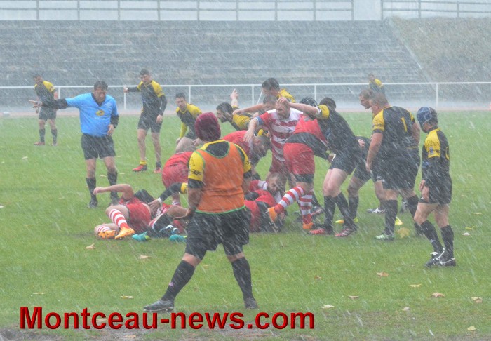 rugby 13111719