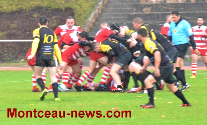 rugby 13111720