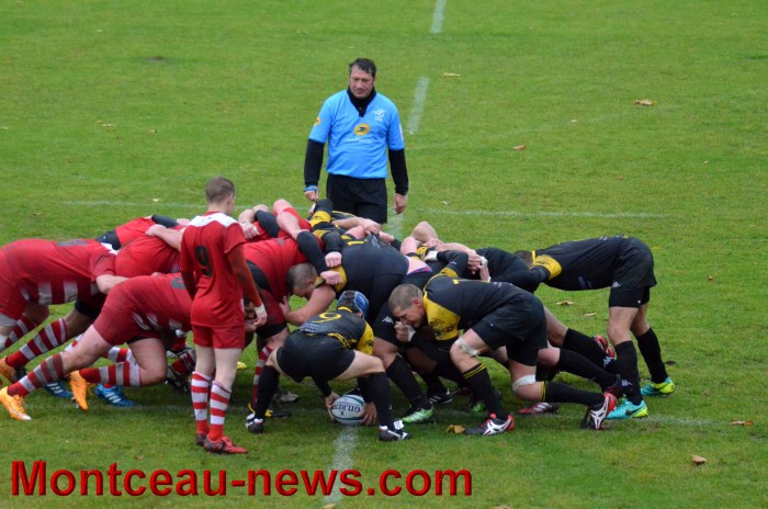 rugby 13111721