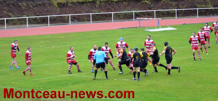 rugby 13111724