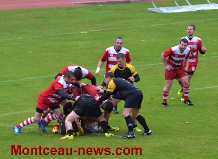rugby 13111725