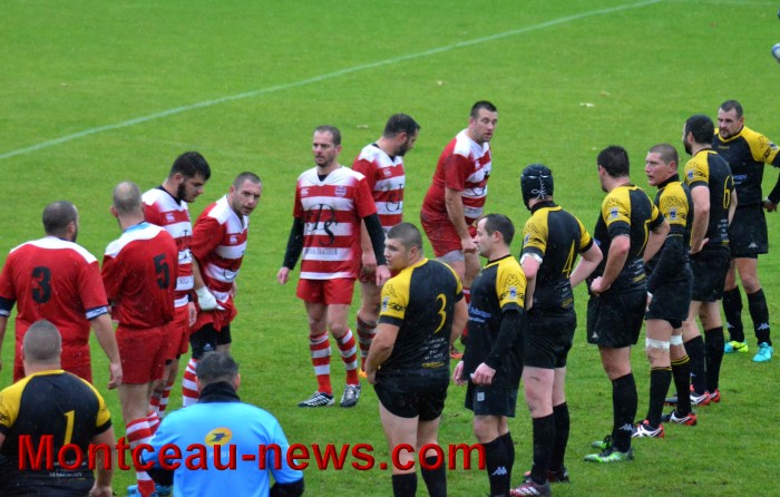 rugby 13111728