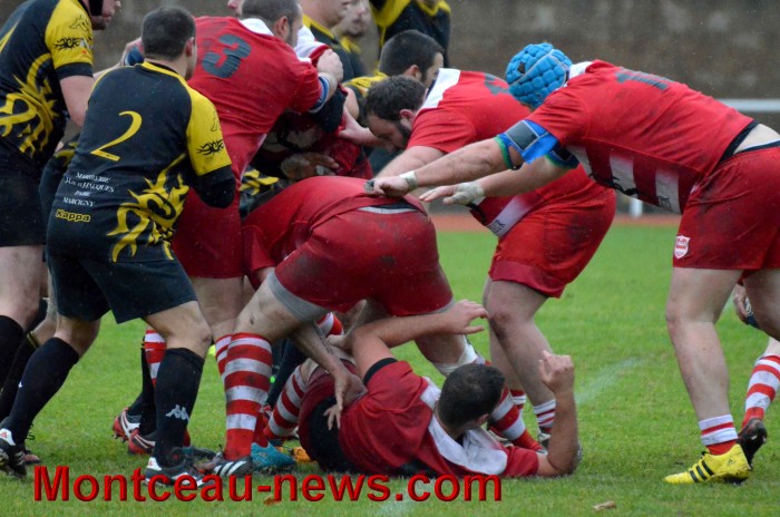 rugby 13111735