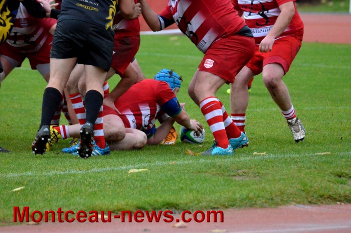 rugby 13111737