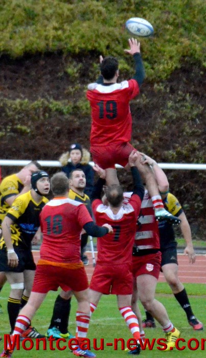 rugby 13111741
