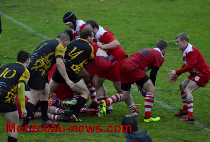 rugby 13111743