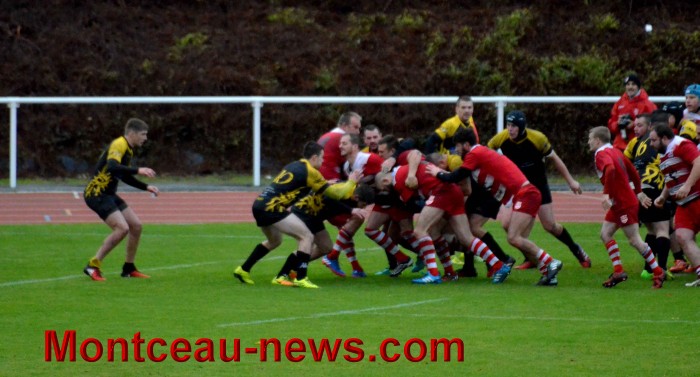 rugby 13111744
