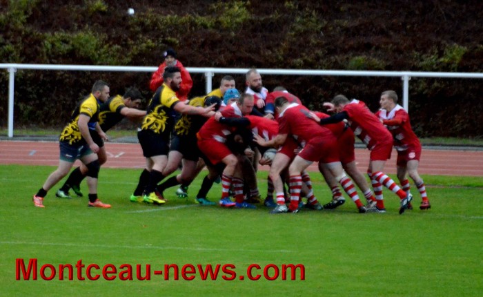 rugby 13111745