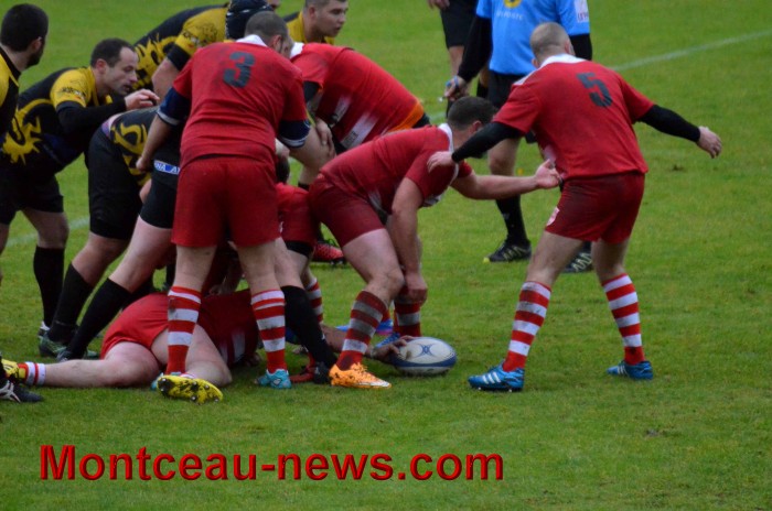 rugby 13111746
