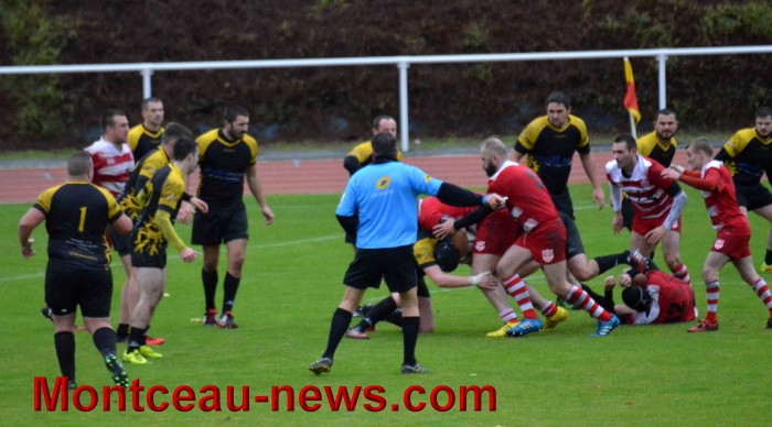 rugby 13111749