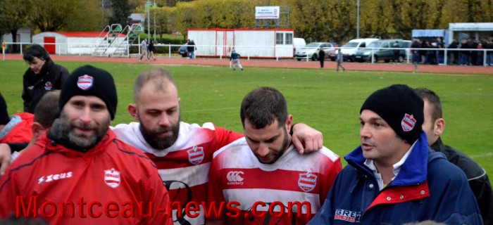 rugby 13111754