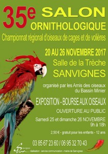 Amis des Oiseaux du bassin minier (sortir)