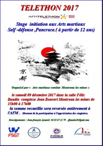 Association « Arts martiaux combat »