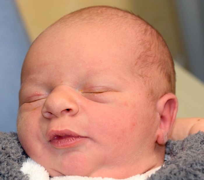 bebe tom 2512175
