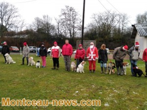 Education Sport Canin Montcellien