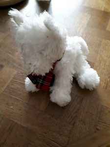 Doudou trouvé à Saint-Vallier