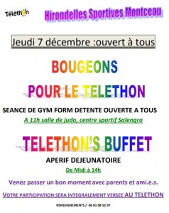 Hirondelles Sportives Montceau