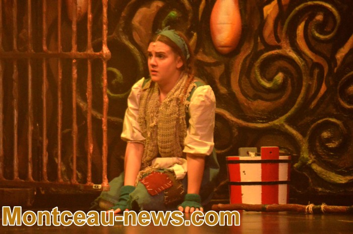 hansel 20121731