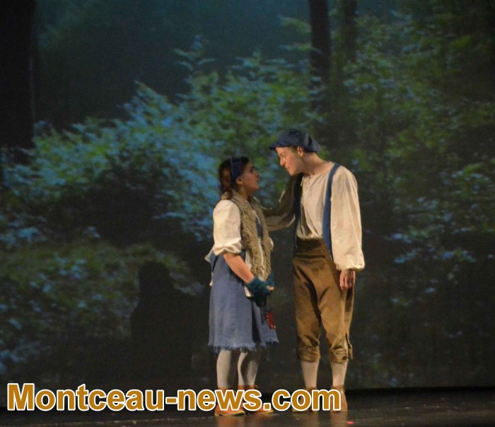 hansel 20121741