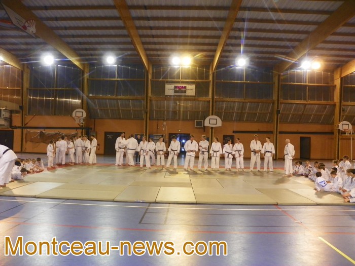judo 0912174