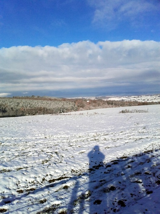 lec 0112171