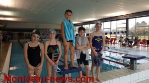 Montceau Olympic Natation