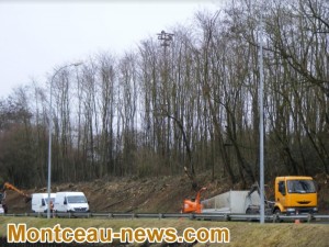Débroussaillage (Montceau)